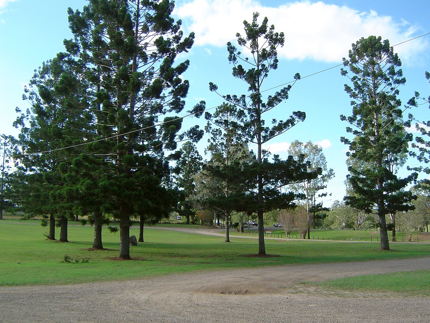 1440px-Tully_Memorial_Park,_North_Maclean,_Queensland