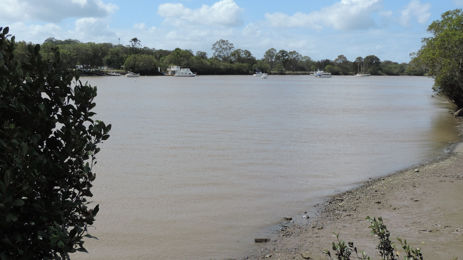 Logan_River_at_Carbrook_(left)_and_Alberton_(right),_2014